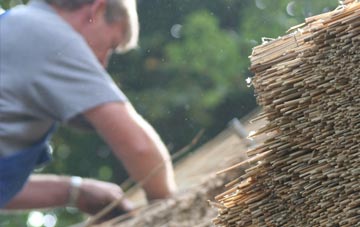 professional Skelwick thatchers