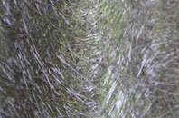 Skelwick fibreglass roof work